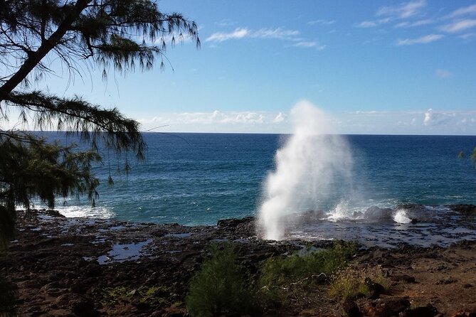 Kauai Island Tour : Journey to Waimea Canyon & More Highlights - Exploring Waimea Canyon