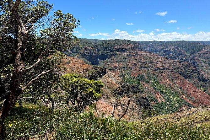 Kauai Island Tour : Journey to Waimea Canyon & More Highlights - Visiting Kauais Highlights