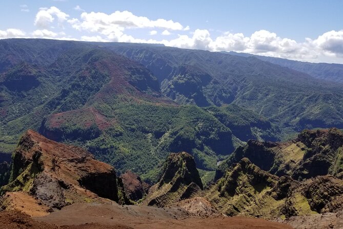 Kauai Island Tour : Journey to Waimea Canyon & More Highlights - Customer Feedback and Experiences
