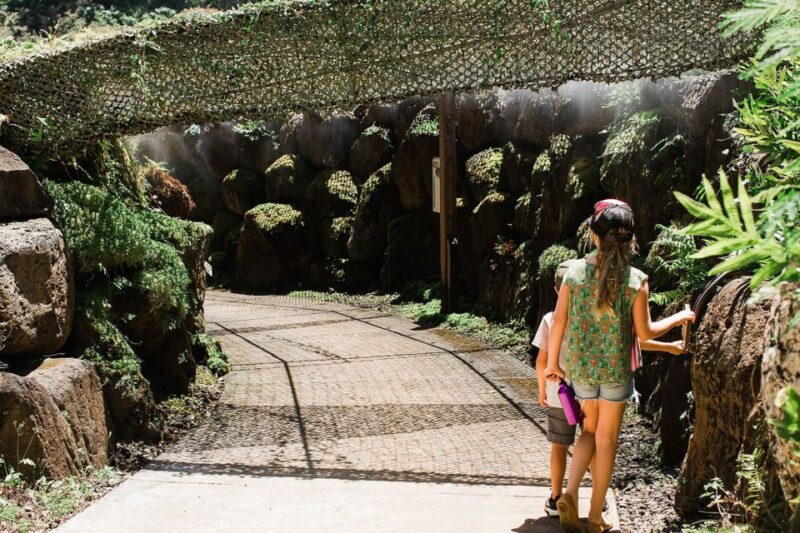 Kauai: McBryde Garden Self Guided Visit - Highlights of the Experience
