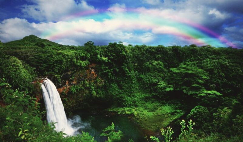 Kauai: Movie Locations Tour - Accessibility and Pickup