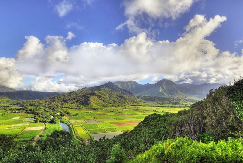 Kauai: Movie Locations Tour - Participant Information
