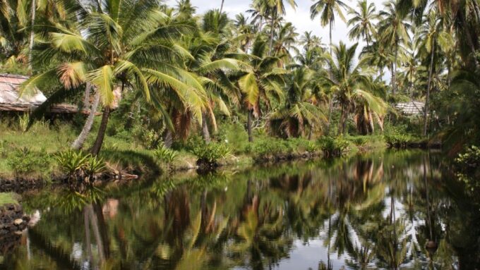 Kauai: Movie Locations Tour - Exploring Iconic Filming Locations