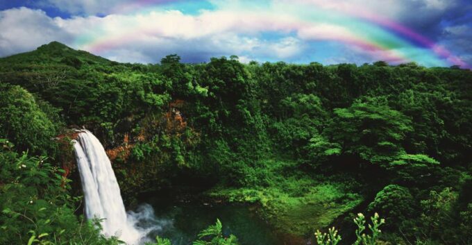 Kauai: Movie Locations Tour - Visiting the Coco Palms Resort