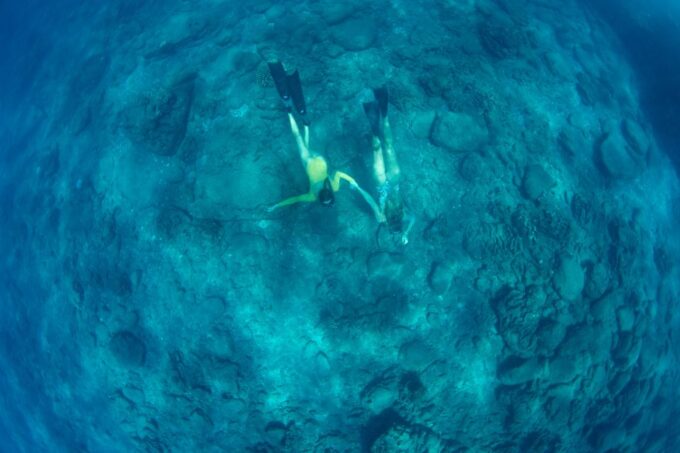 Kauai: Niihau and Na Pali Coast Full-Day Boat Tour - Frequently Asked Questions