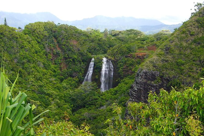 Kauai North Shore Private Guided Tour With Hotel or Port Pick-Up - Highlights of the Tour