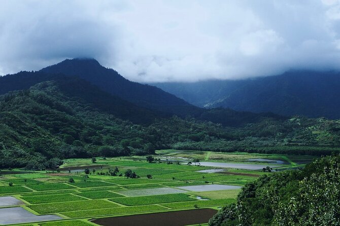 Kauai North Shore Private Guided Tour With Hotel or Port Pick-Up - Customized Experiences