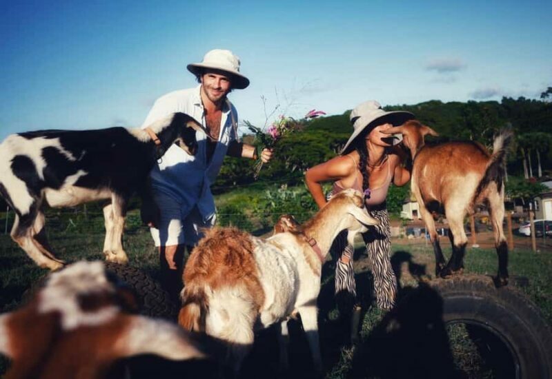 Kauai: Play with Baby Farm Animals & MicroDairy Immersion - Why This Tour Adds Value