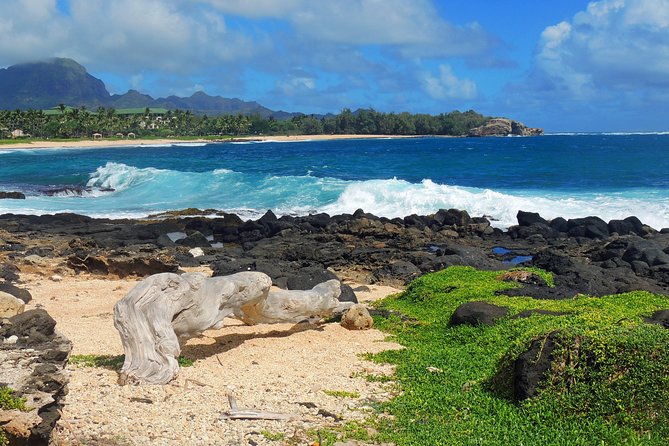 Kauai Poipu & Koloa Town Audio Driving Tour - Visitor Reviews and Ratings