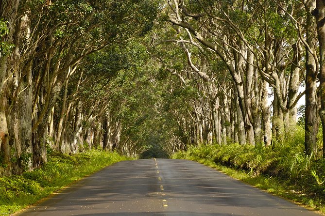 Kauai Poipu & Koloa Town Audio Driving Tour - Booking and Accessibility