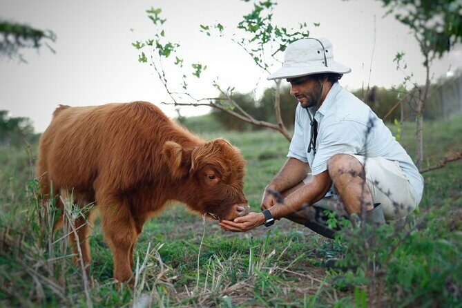 Kauai Private Baby Farm Animal Experience & Micro Dairy Immersion - Who Would Love This?