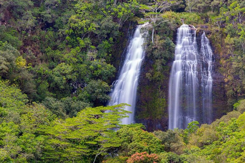 Kauai: Scenic Movie Locations Bus Tour - Key Points