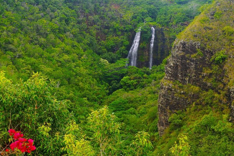 Kauai: Scenic Movie Locations Bus Tour - Exploring Movie Locations