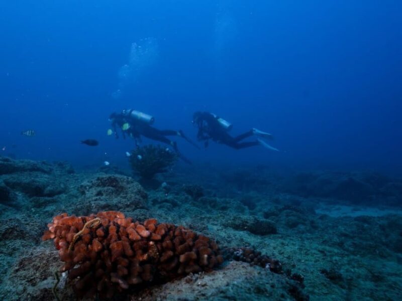 Kauai: Shore Diving at Koloa Landing, Poipu - Key Points