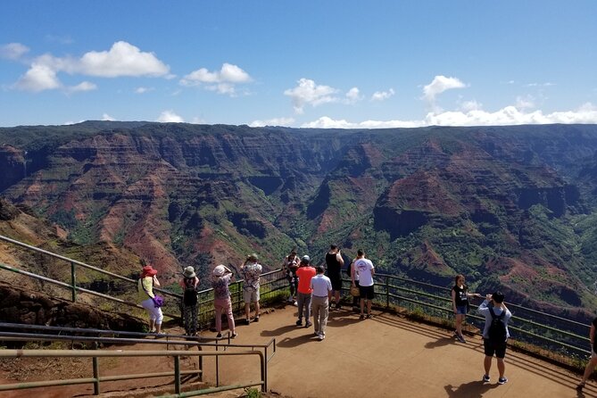 Kauai Shore Excursion - Waimea Canyon Adventure Tour - Nawiliwili - Pickup and Confirmation