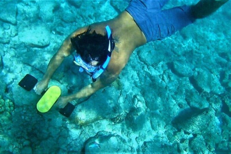 Kauai: Snorkeling Adventure With Sea Scooter - Experience Highlights