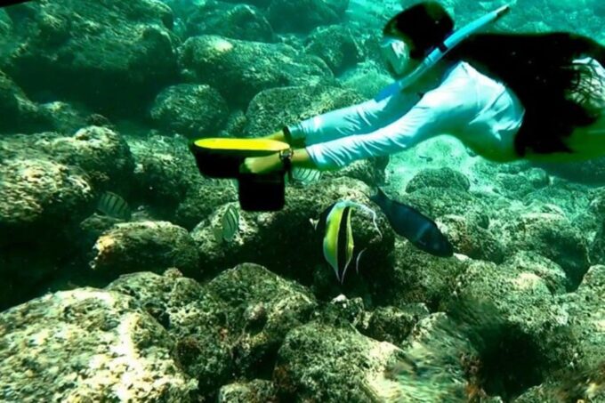 Kauai: Snorkeling Adventure With Sea Scooter - Frequently Asked Questions
