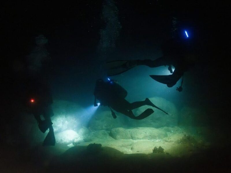Kauai: Twilight/Night Shore Dive Experience - Dive Site Overview