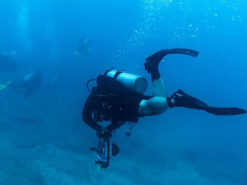Kauai: Twilight/Night Shore Dive Experience - Night Dive Experience