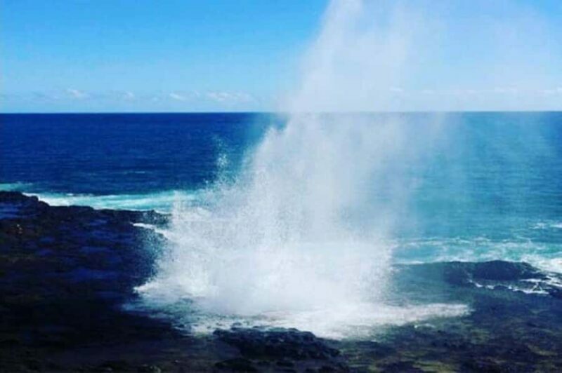 Kauai: Waimea Canyon and Waterfall Adventure Day Tour - The Sum Up
