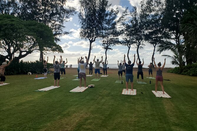 Kauai Yoga on the Beach - Positive Reviews From Participants