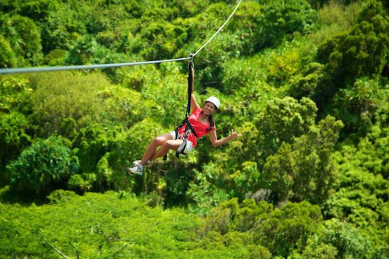 Kauai: Zipline Adventure - Key Points