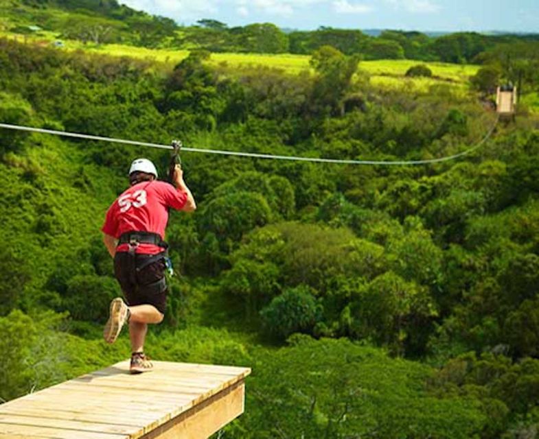 Kauai: Zipline Adventure - Highlights and Features