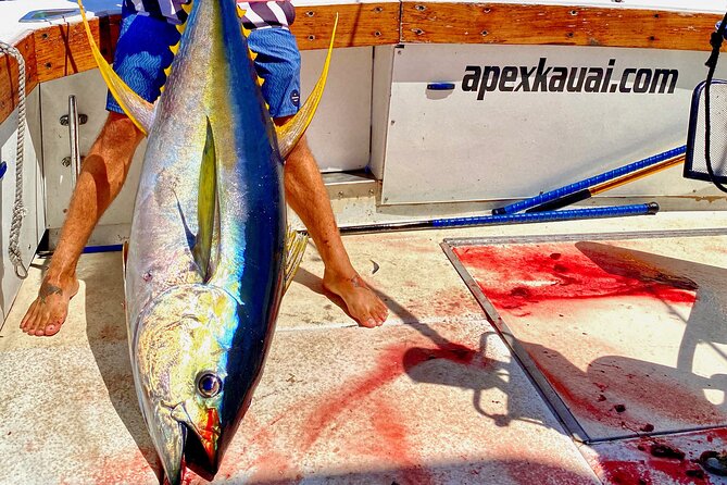Kauais #1 Sport Fishing Adventure Company - Key Points