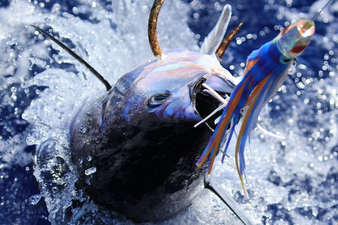 Kauais #1 Sport Fishing Adventure Company - Accessibility and Physical Fitness Recommendations