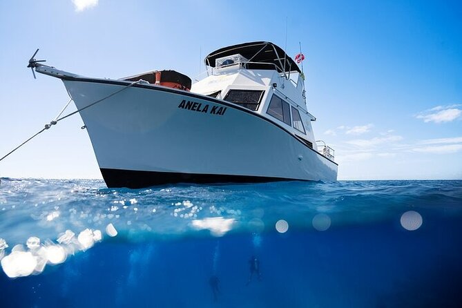 Kauais Exclusive Morning Scuba Charter for Experienced Divers - Meeting and Pickup Details
