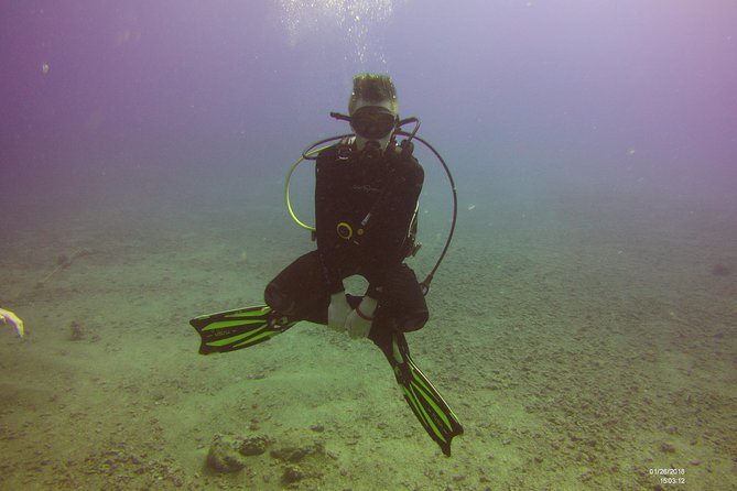 Kauais Ultimate Boat 2 Tank Adventure Dive Certified Divers Only - Marine Ecology Briefing