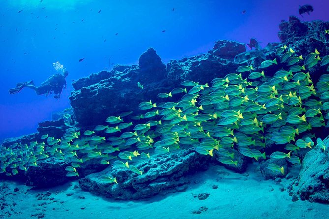 Kauais Ultimate Boat 2 Tank Adventure Dive Certified Divers Only - Refreshments and Snacks