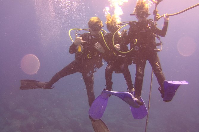 Kauais Ultimate Discover Scuba Dive - OCEAN EXPERIENCE (1 Tank Dive) - Depth and Supervision by PADI Instructors