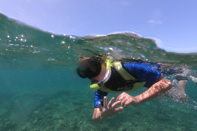 Kauais Ultimate Guided Shore Snorkel (NO BOAT): North Anini - Key Points