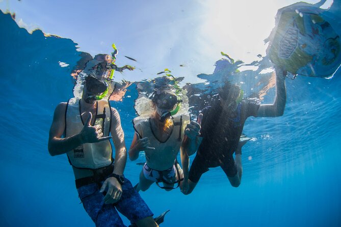 Kauais Ultimate Guided Shore Snorkel (NO BOAT): North Anini - Inclusions