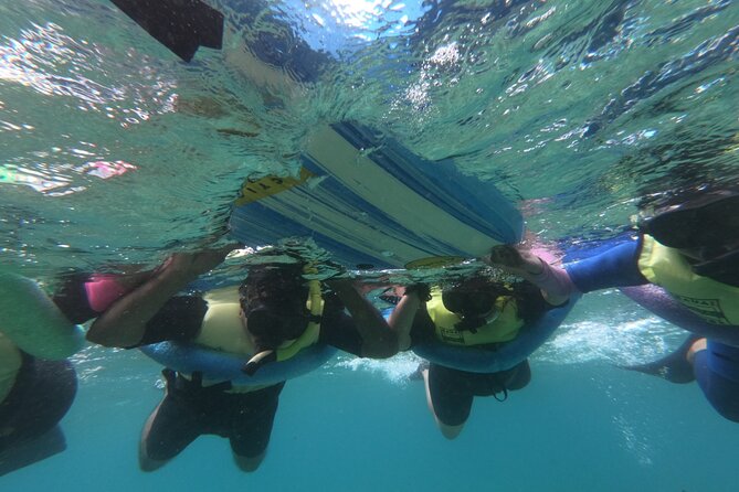 Kauais Ultimate Guided Shore Snorkel (NO BOAT): North Anini - Marine Life and Coral Reef