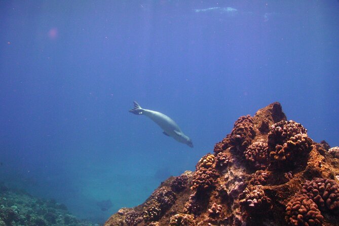 Kauais Ultimate Na Pali Coast Zodiac Boat Snorkeling & Sea Cave Eco Tour - Cancellation Policy