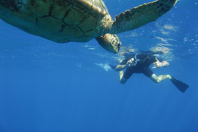 Kauais Ultimate South Island Zodiac Boat Snorkel Adventure - Participant Requirements