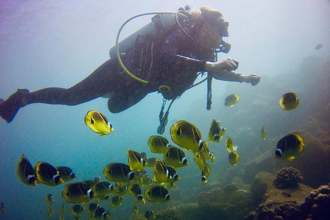 Kauais Ultimate South Shore 2 Tank Dive (Certified Divers Only) - Snacks and Bottled Water