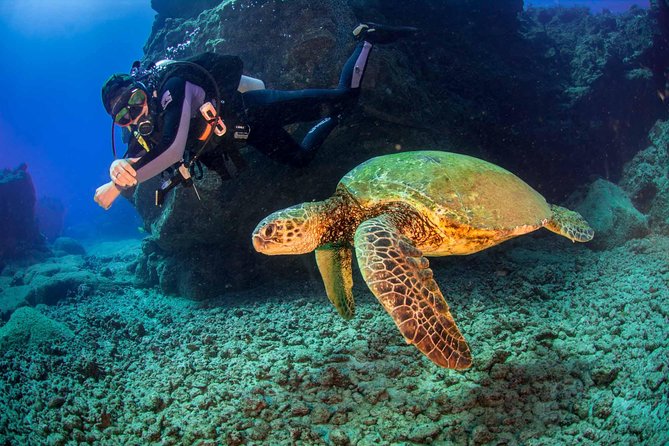 Kauais Ultimate South Shore 2 Tank Dive (Certified Divers Only) - Meeting Point and Directions