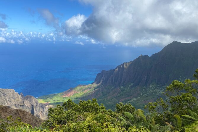 Kauais Waimea Canyon and South Side Private Guided Tour - Included in the Tour