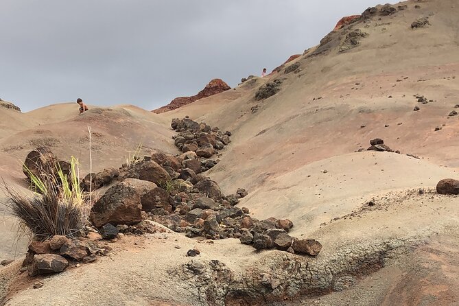 Kauais Waimea Canyon and South Side Private Guided Tour - Cultural and Historical Insights