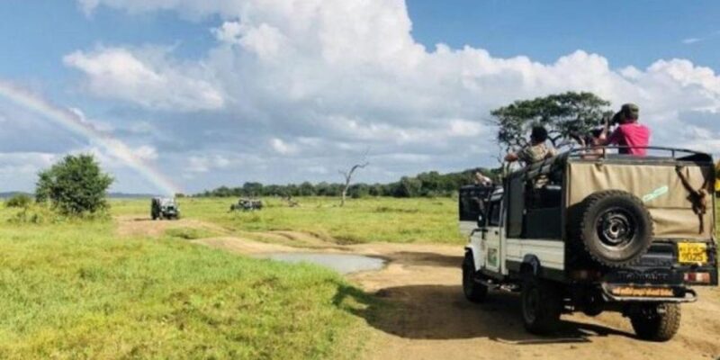 Kaudulla National Park: Afternoon Game Drive - Elephant Migration