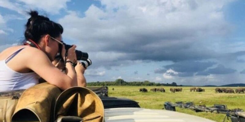 Kaudulla National Park: Afternoon Game Drive - Tips for Visitors