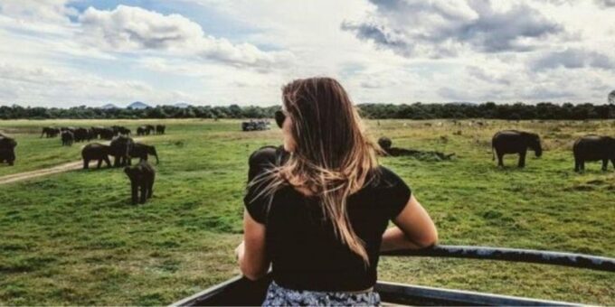 Kaudulla National Park: Afternoon Game Drive - Frequently Asked Questions