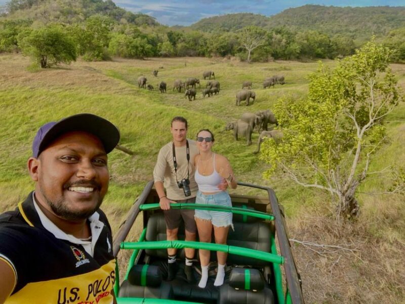 Kaudulla National Park-Elephant Gathering Safari - Importance of Responsible Wildlife Viewing