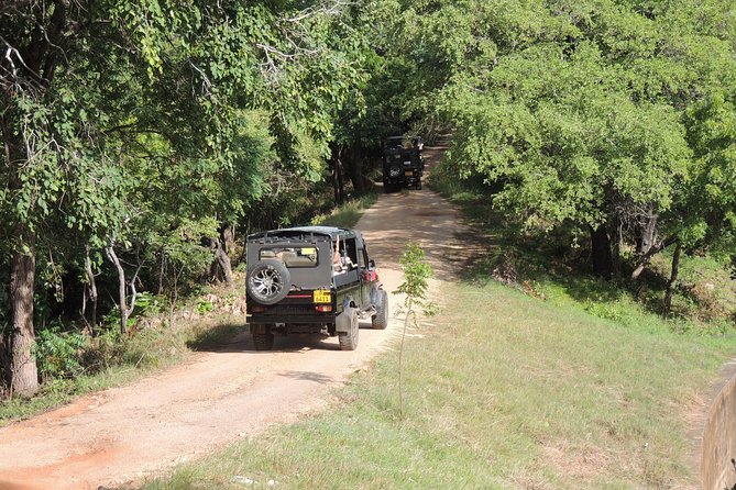 Kaudulla National Park Entrance Ticket - Confirmation and Voucher Exchange