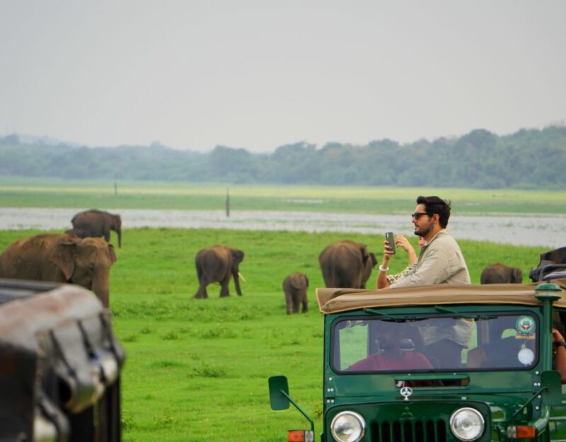 Kaudulla National Park Half Day Private Safari Adventure - Safari Experience