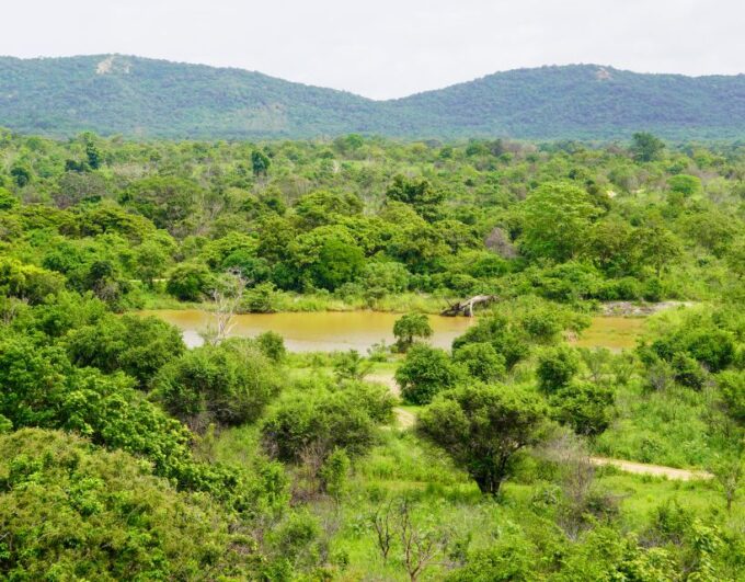 Kaudulla National Park Half Day Private Safari Adventure - Frequently Asked Questions
