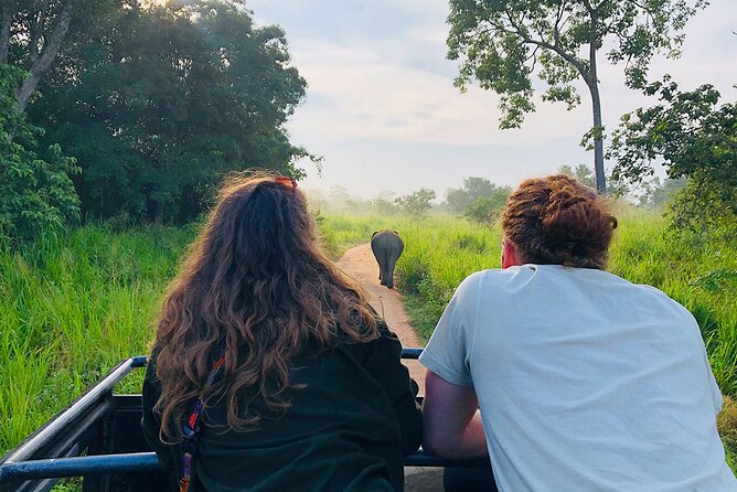 Kaudulla National Park Half Day Private Safari in Sri Lanka - Transportation and Pickup/Drop-off Service
